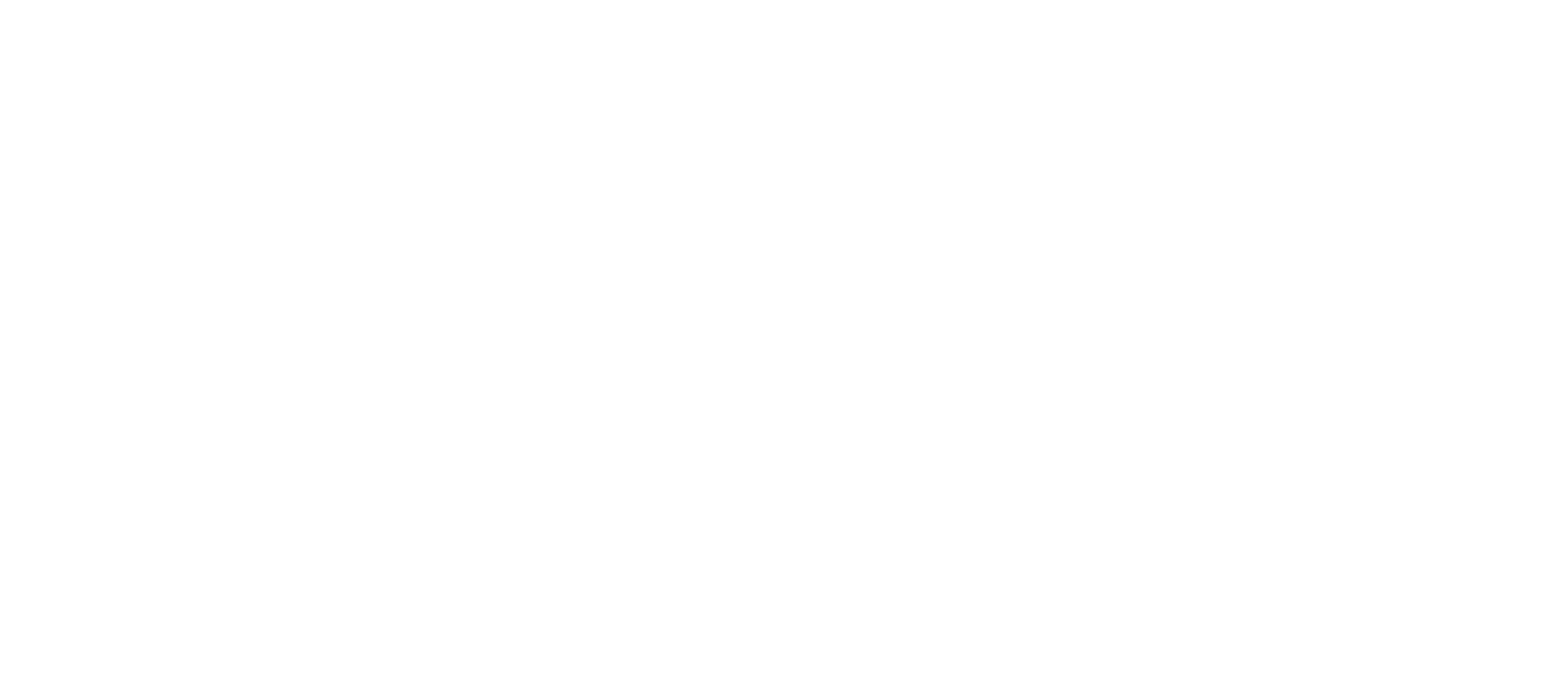 paulus logo text PARTN WH